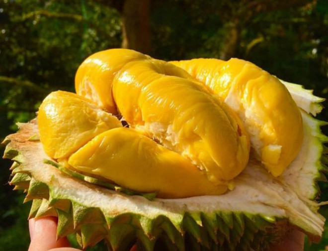 Muốn da đẹp luôn ẩm mịn, trắng sáng vào mùa hè? Ăn ngay 5 loại trái cây "thần kỳ" này!- Ảnh 2. Muốn da đẹp luôn ẩm mịn, trắng sáng vào mùa hè? Ăn ngay 5 loại trái cây "thần kỳ" này!- Ảnh 2.