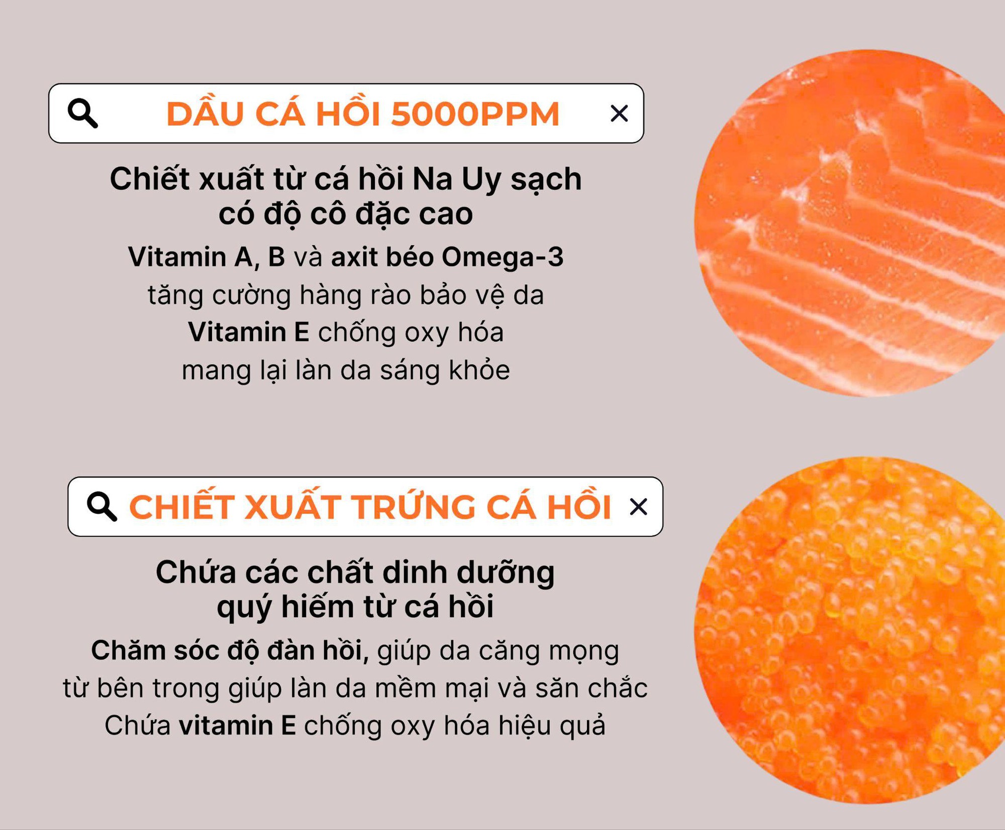 Kem cá hồi - Cơn sốt 9 năm chưa hạ nhiệt- Ảnh 2. Kem cá hồi - Cơn sốt 9 năm chưa hạ nhiệt- Ảnh 2.