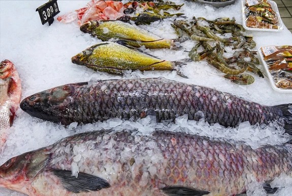 Hôm nay tôi được khai sáng cách rã đông CÁ mà KHÔNG cần ngâm nước lã- Ảnh 1. Hôm nay tôi được khai sáng cách rã đông CÁ mà KHÔNG cần ngâm nước lã- Ảnh 1.