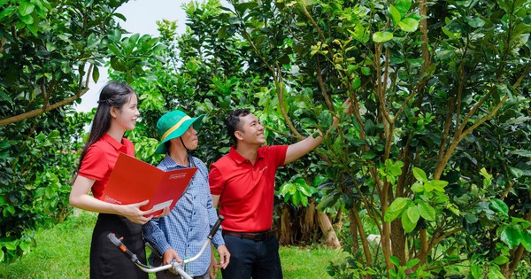 Agribank tích cực hỗ trợ hộ kinh doanh chuyển đổi thành doanh nghiệp- Ảnh 1.