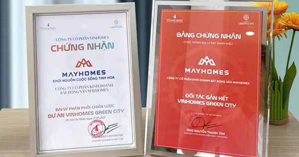 Mayhomes ghi dấu ấn vững vàng tại thị trường bất động sản TP.HCM- Ảnh 1.