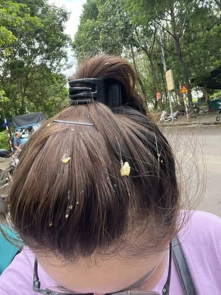 Pha đi chợ nhớ đời ở chung cư: Chưa kịp mua gì đã được "tặng" nguyên bịch thức ăn thừa trên trời rơi xuống- Ảnh 2.