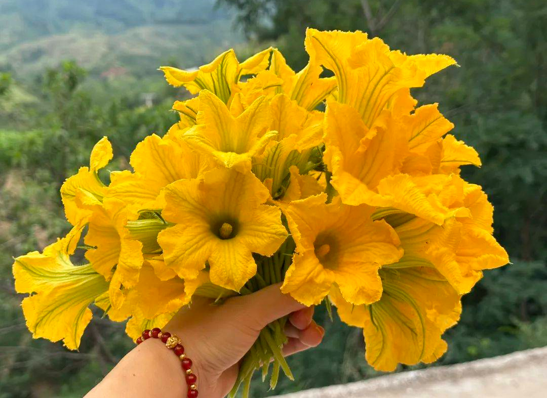 Nếu thấy nhà ai có loại rau này, xin ngay một nắm hoa về làm món ăn giòn ngon lại giúp phòng ngừa ung thư- Ảnh 1.