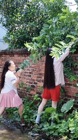 Video: Chu Thanh Huyền - vợ Quang Hải hái trộm ổi, lộ tính cách thật, còn đâu hình tượng nữ tổng tài dát hàng hiệu!- Ảnh 1.