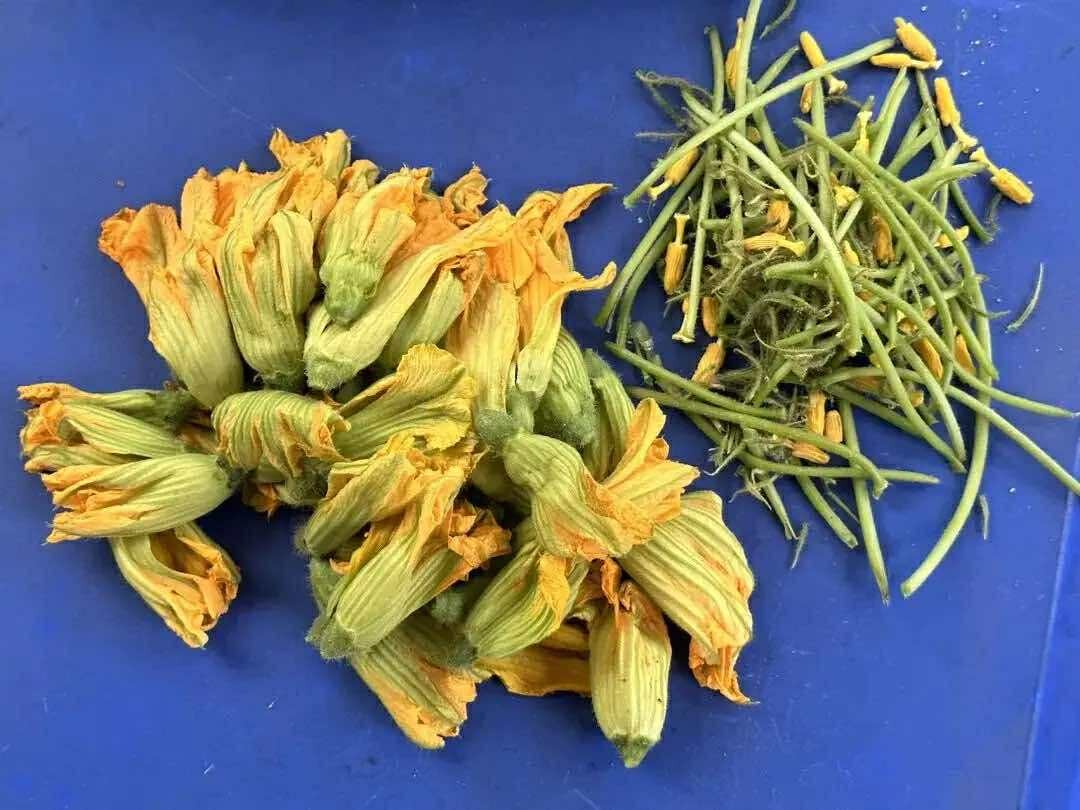 Nếu thấy nhà ai có loại rau này, xin ngay một nắm hoa về làm món ăn giòn ngon lại giúp phòng ngừa ung thư- Ảnh 4.