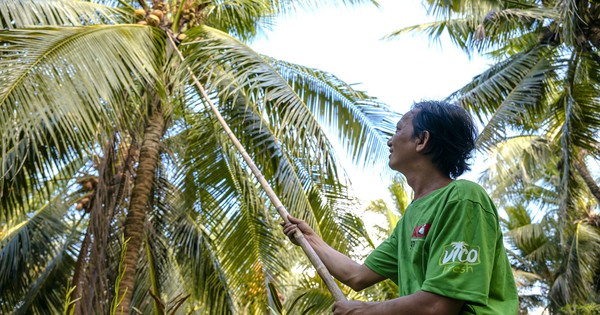 AIG tiên phong xu hướng chế biến sâu và chuỗi liên kết bền vững cho nông sản Việt- Ảnh 1.