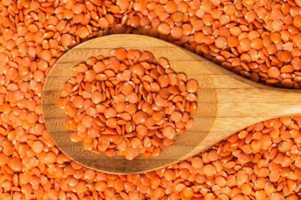 Mùa hè nóng nực, hãy thêm 1 món giàu protein vào thực đơn hàng ngày để bổ tỳ, mát cơ thể- Ảnh 2.