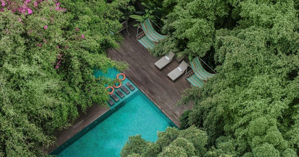 Sen & Riva - Dòng chảy ẩm thực mới tại An Lâm Retreats Saigon River- Ảnh 1.