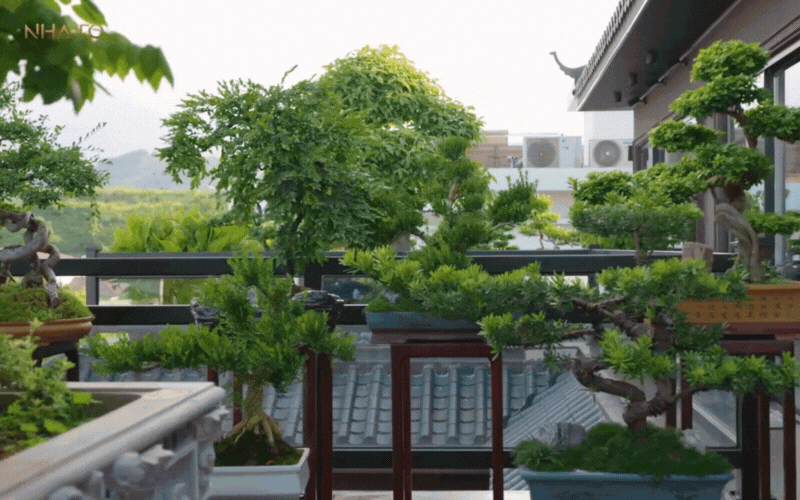 Bên trong biệt phủ hình chữ "H" rộng 1.200m2 đậm chất Á Đông của gia chủ yêu trà đạo- Ảnh 14.