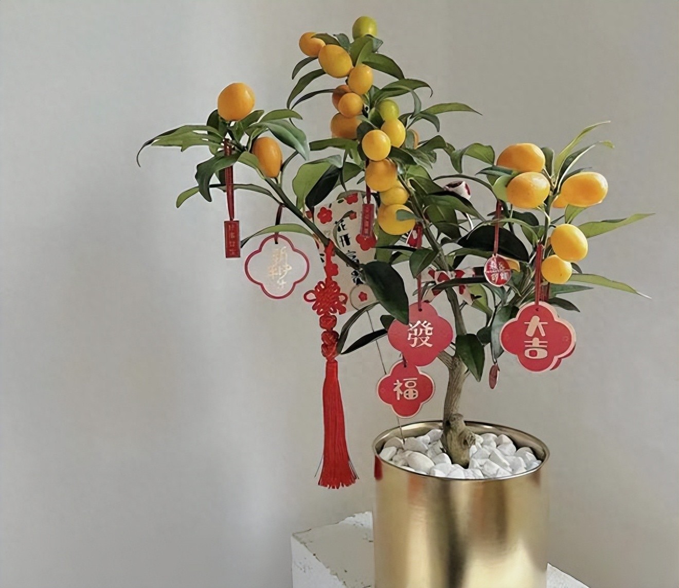 5 loại cây bonsai sinh lời cao: Vừa làm cảnh vừa ăn được, càng trồng càng thu hút tài lộc- Ảnh 1.