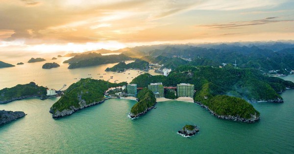 3HLAND trở thành đại lý phân phối chính thức dự án Flamingo Cát Bà Resorts- Ảnh 1.