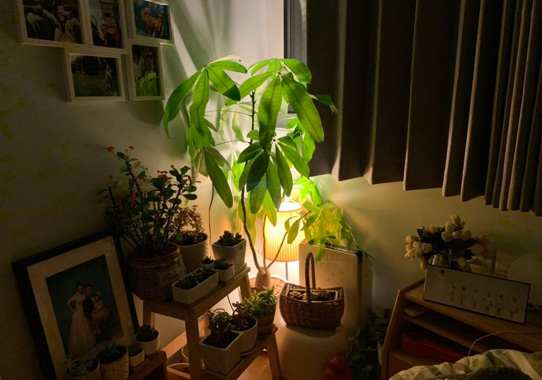Căn hộ 39m² cho 4 người: Không chật, không góc nào bị lãng phí, minh chứng cho triết lý "sống vừa đủ là sống đẹp"- Ảnh 10.