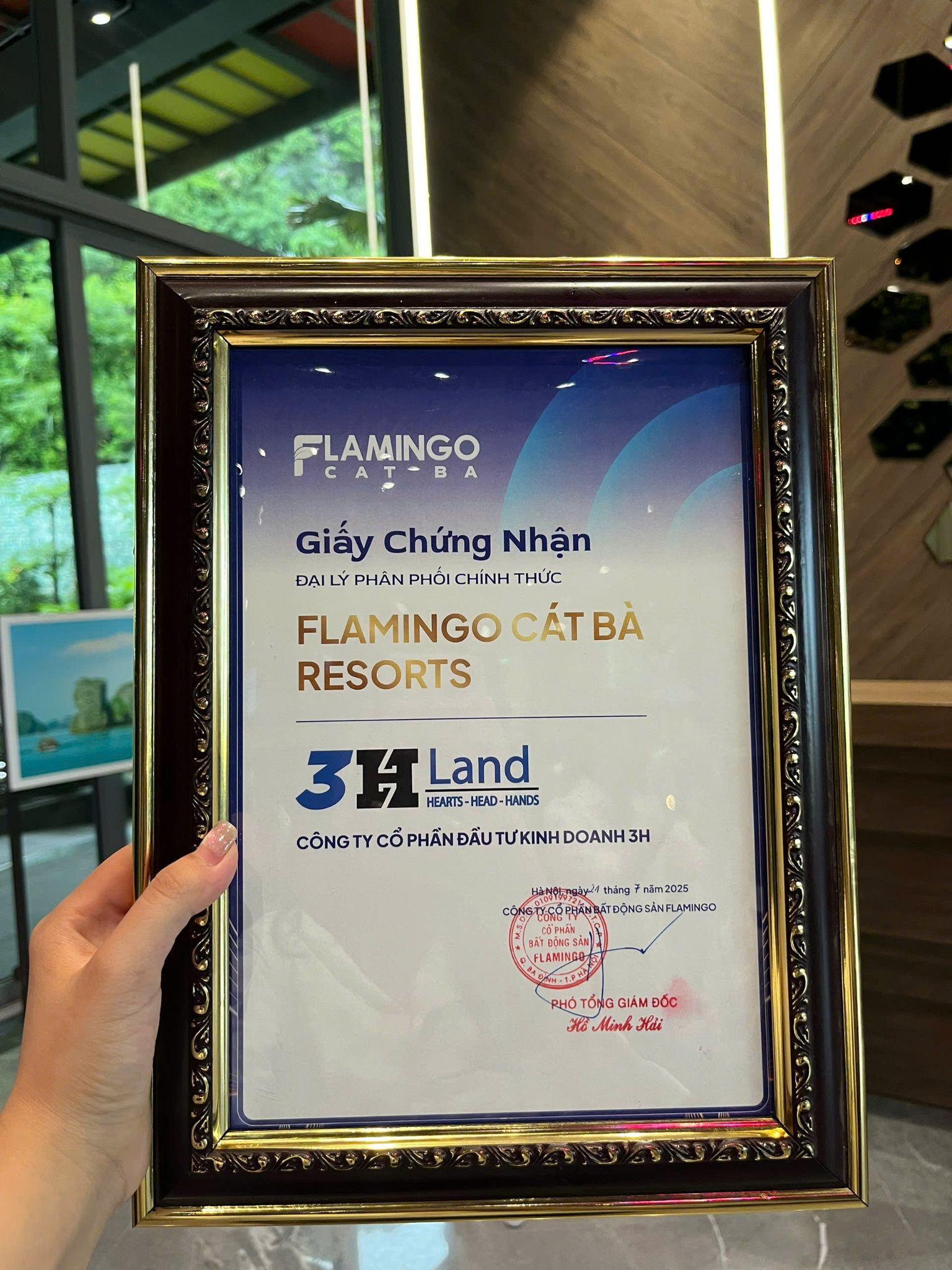 3HLAND trở thành đại lý phân phối chính thức dự án Flamingo Cát Bà Resorts- Ảnh 5.