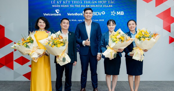 VinaLiving hợp tác ngân hàng lớn, nâng tầm dự án Salacia Villas tại Phú Mỹ- Ảnh 1.