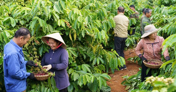 30 năm Nestlé Việt Nam qua lăng kính của những người đồng hành- Ảnh 1.