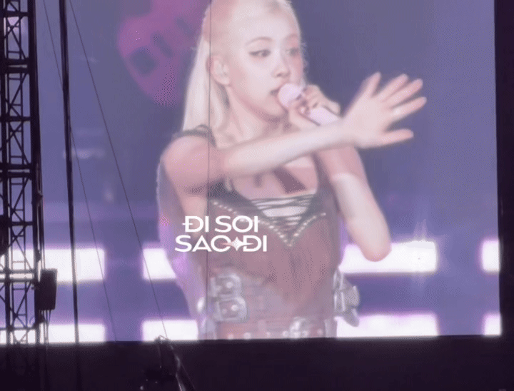 BLACKPINK xử lý sự cố hỗn loạn tại concert, Lisa có hành động thẳng tay với fan!- Ảnh 2.