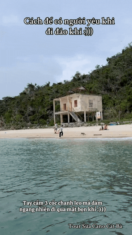 Bị khỉ lăm le chặn đường, cô gái được khách Tây "cứu " khi du lịch trên đảo Cát Bà- Ảnh 1.