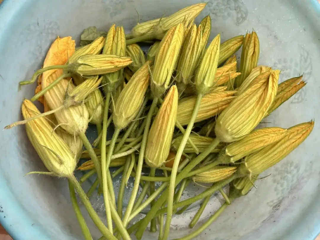 Vào tháng Tám nếu thấy loại "rau này" thì mua về nấu ngay món ngon với đậu phụ, hương vị ngon bất ngờ- Ảnh 1. Vào tháng Tám nếu thấy loại "rau này" thì mua về nấu ngay món ngon với đậu phụ, hương vị ngon bất ngờ- Ảnh 1.