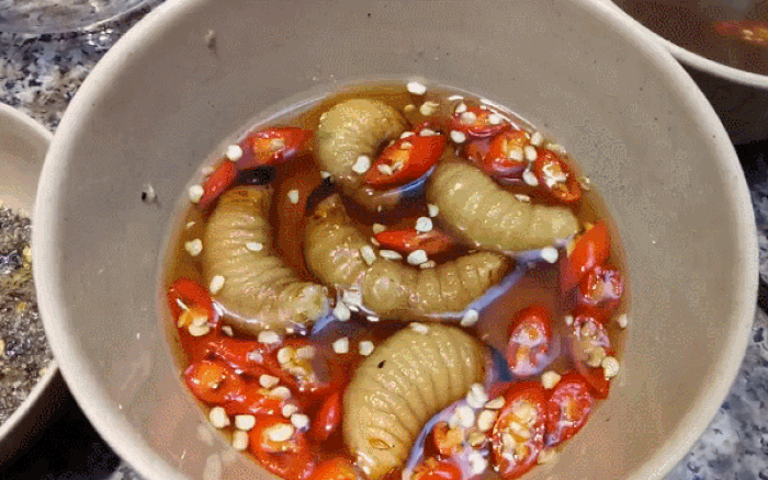 Những món đặc sản từ sâu bọ ở Việt Nam khiến nhiều người "rợn tóc gáy", ai gan dạ mới dám thử- Ảnh 4.