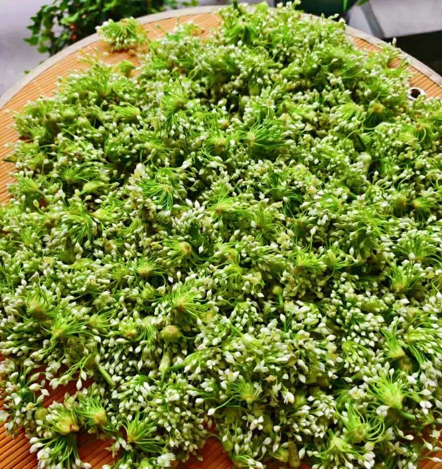Mùa thu, đừng quên thưởng thức “món rau tươi ngon của tháng Tám”: Giá rẻ lại bổ gan, kháng khuẩn và dưỡng nhan- Ảnh 2.