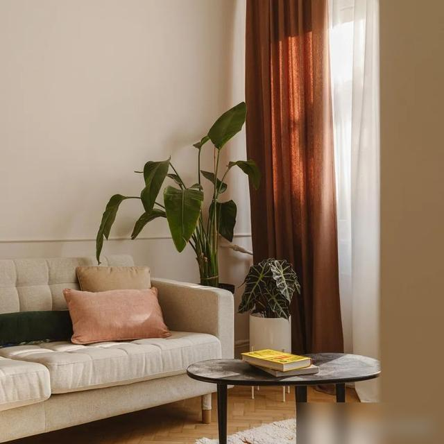 Người phụ nữ 56 tuổi sống một mình trong căn hộ 35m²: Bước vào mới thấy thế nào là thanh lịch và đáng sống- Ảnh 9.