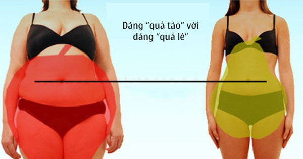 Nhìn vóc dáng biết gan khỏe mạnh không: 2 vấn đề tiềm ẩn ở phụ nữ có dáng quả lê sau thời kỳ mãn kinh- Ảnh 3.