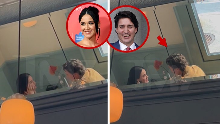 Mối tình vừa chớm nở của Katy Perry và cựu thủ tướng Canada giờ ra sao?- Ảnh 4.