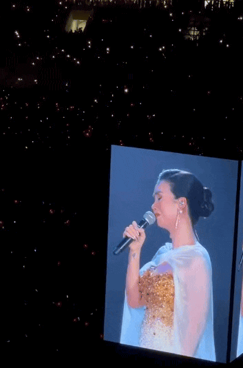 Nữ ca sĩ khiến 50 nghìn khán giả nức nở tại concert Quốc gia, cứ cất giọng là nhiều người bật khóc- Ảnh 3.