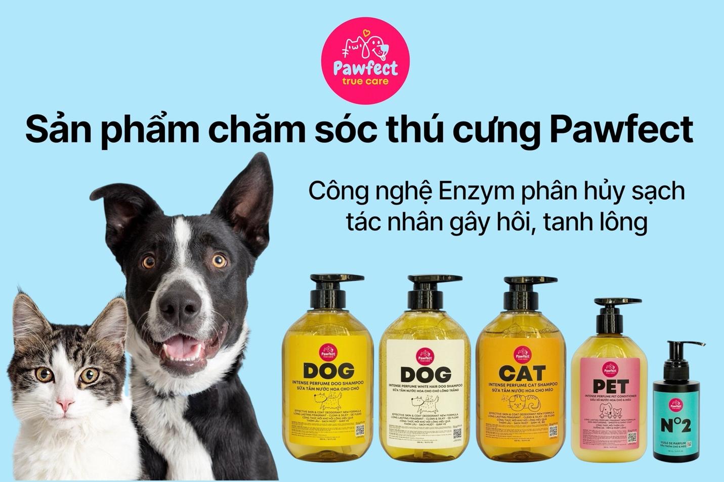 Thú cưng tắm xong vẫn hôi, đâu là giải pháp?- Ảnh 2.