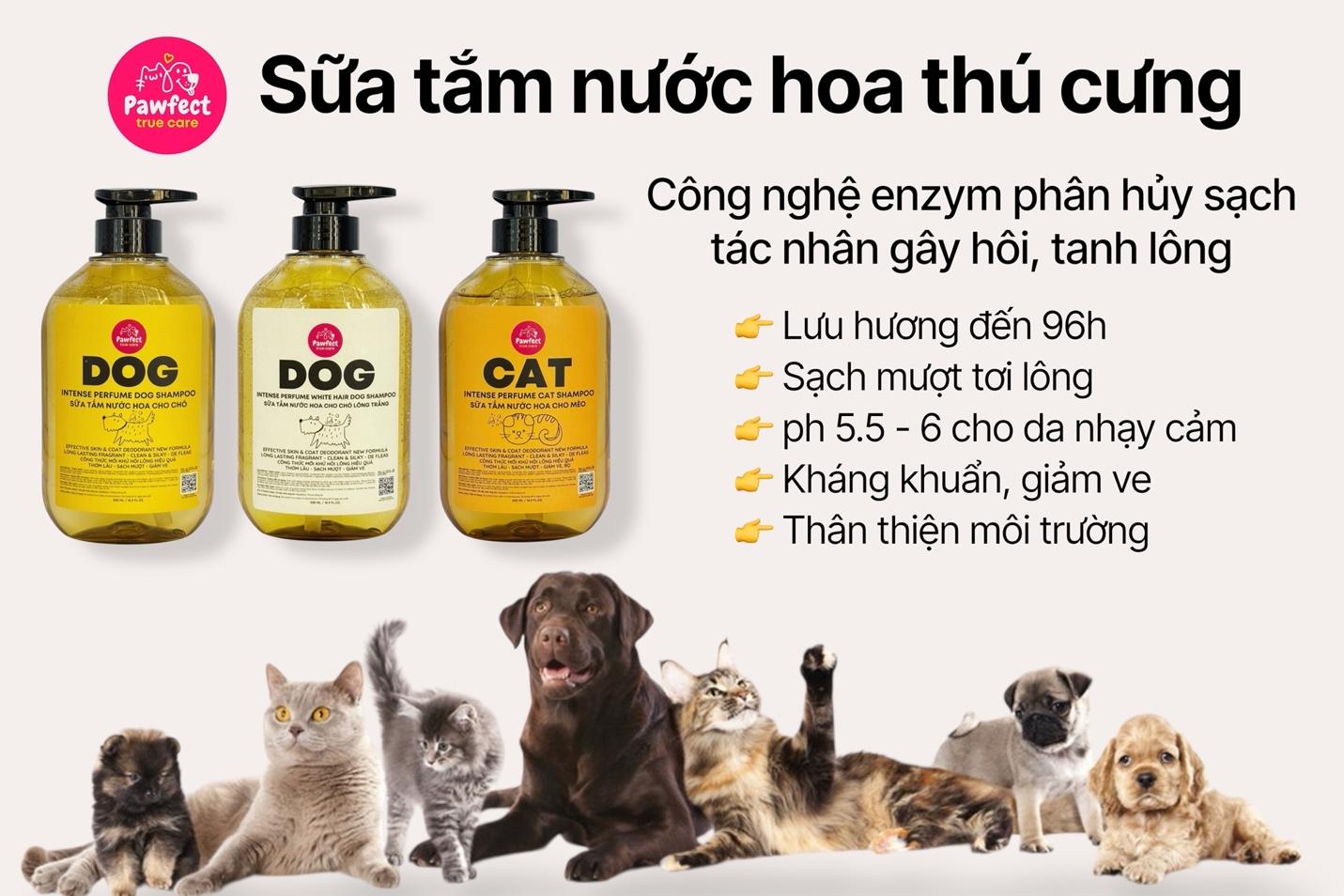 Thú cưng tắm xong vẫn hôi, đâu là giải pháp?- Ảnh 3.