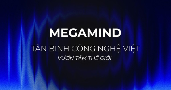 Megamind – tân binh công nghệ Việt và cơ hội vươn ra thế giới- Ảnh 1.