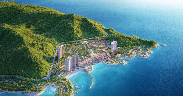 Newstarland đại lý F1 phân phối chính thức dự án La Tiên Villa- Ảnh 1.