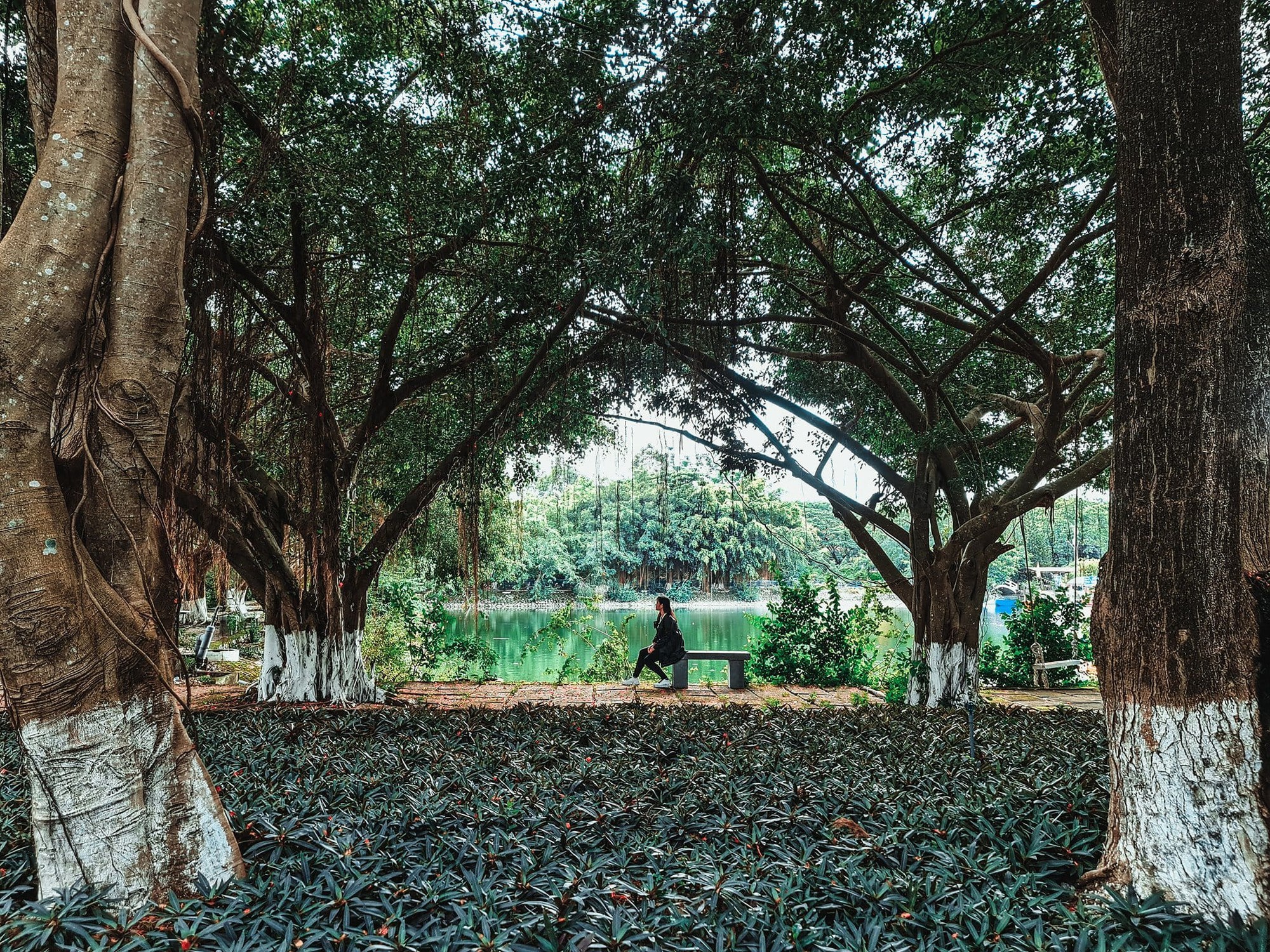 Vách đá lịch sử giữa lòng An Giang- Ảnh 3.