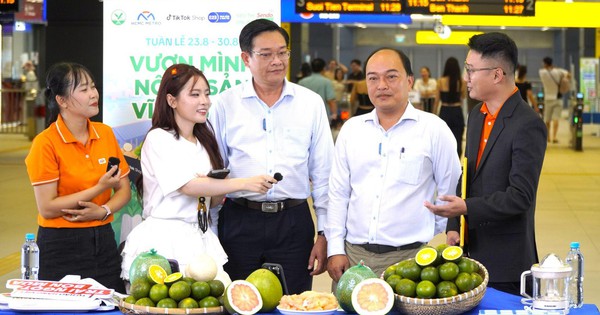 Tuần lễ "Vươn mình Nông sản Vĩnh Long": Kết nối hạ tầng – nâng tầm nông sản Việt- Ảnh 1. Tuần lễ "Vươn mình Nông sản Vĩnh Long": Kết nối hạ tầng – nâng tầm nông sản Việt- Ảnh 1.