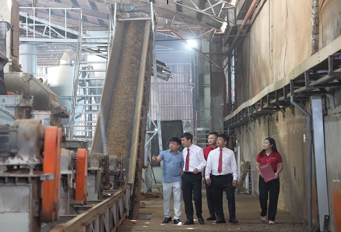 Agribank - Cầu nối chiến lược đưa tín chỉ carbon Việt Nam vươn ra thị trường quốc tế- Ảnh 2.