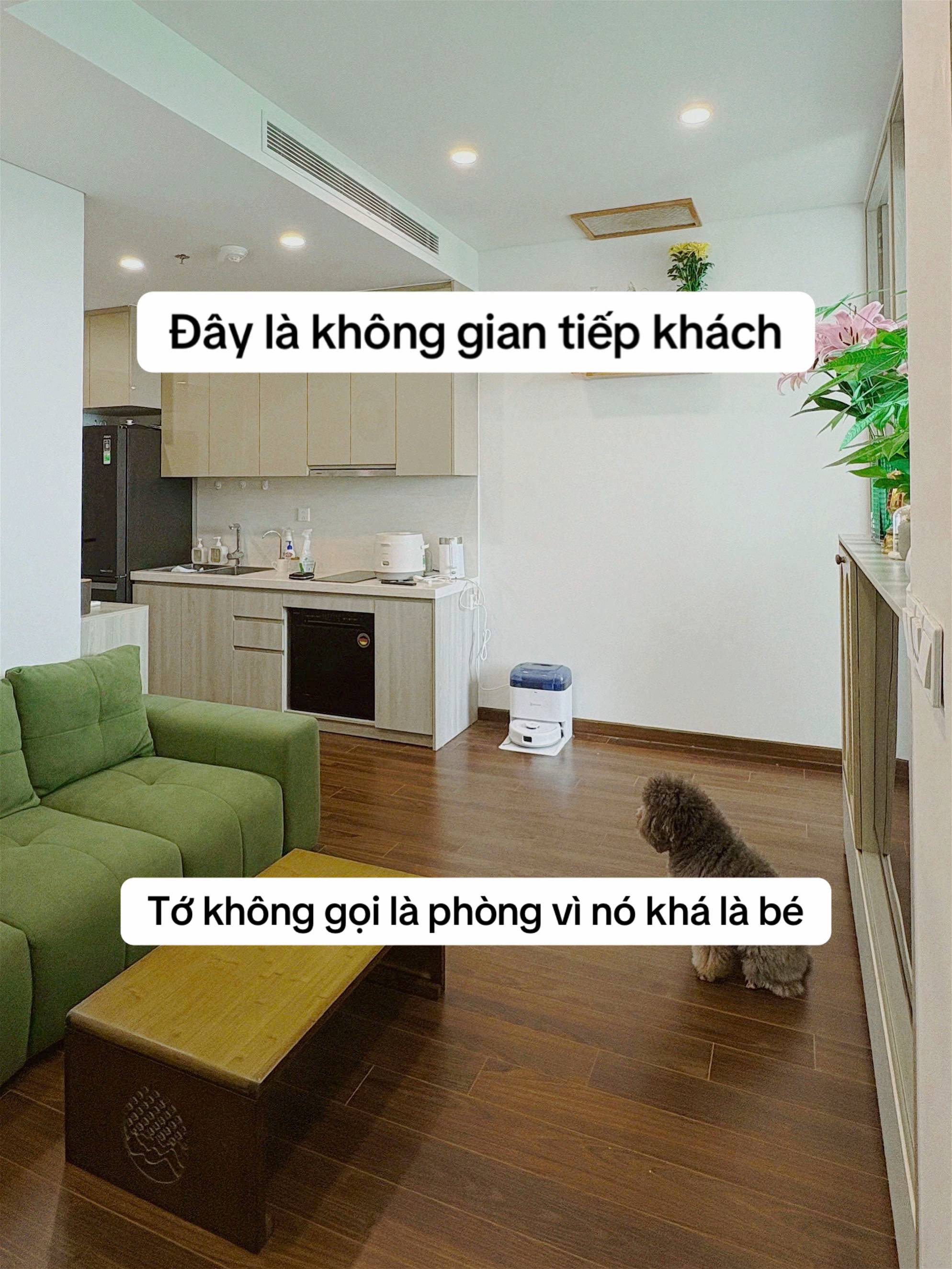 Studio 33m² gọn gàng sau khi chi 70 triệu cải tạo - "view triệu đô" và khu 1 khiến ai cũng bất ngờ- Ảnh 9.