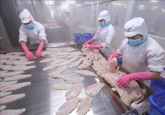 IDI – Gắn kết bền chặt, vươn xa toàn cầu- Ảnh 3.