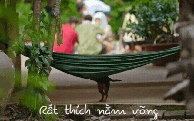 Trung bình nhà ở miền Tây đều có võng: Sức hút này bắt nguồn từ đâu? Vì sao ai cũng mê?- Ảnh 6.