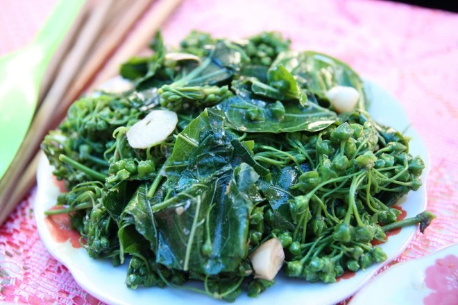 "Thần dược xanh" của người dân vùng núi Tây Bắc: Công dụng bất ngờ, bổ hơn cả uống vitamin tổng hợp- Ảnh 2.