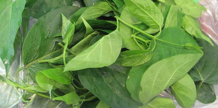 "Thần dược xanh" của người dân vùng núi Tây Bắc: Công dụng bất ngờ, bổ hơn cả uống vitamin tổng hợp- Ảnh 3.