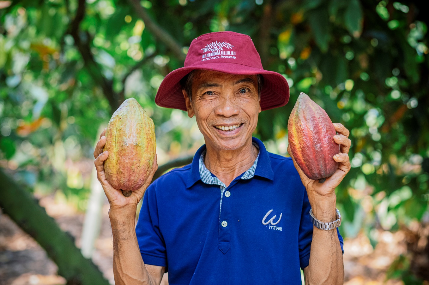 Cây Cacao Việt Nam và tiềm lực vươn mình ra thế giới- Ảnh 4.
