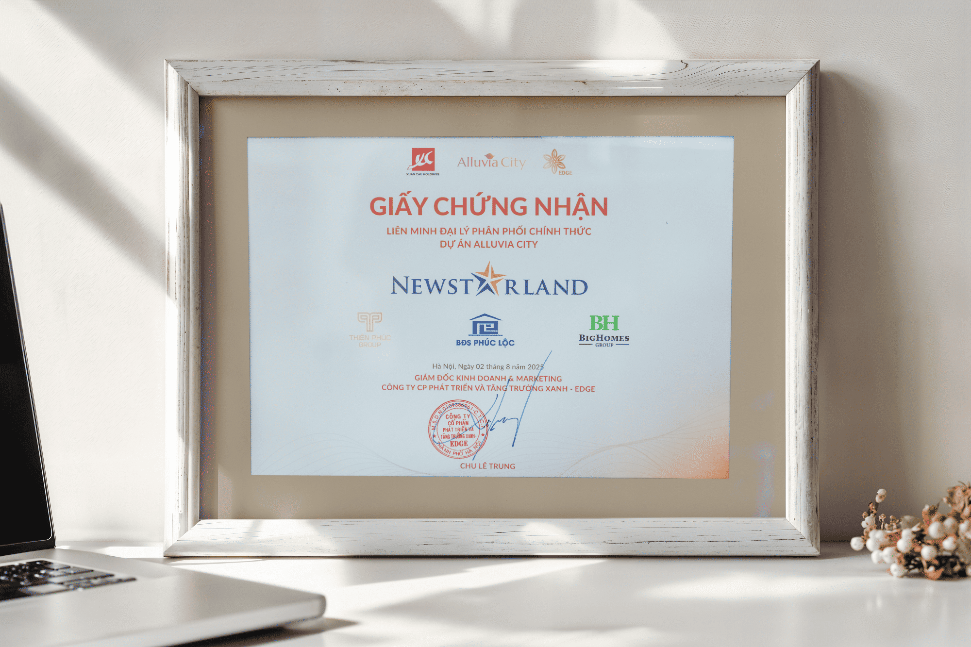 NewstarLand chính thức phân phối dự án Alluvia City- Ảnh 2.