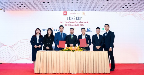 NewstarLand chính thức phân phối dự án Alluvia City- Ảnh 1.