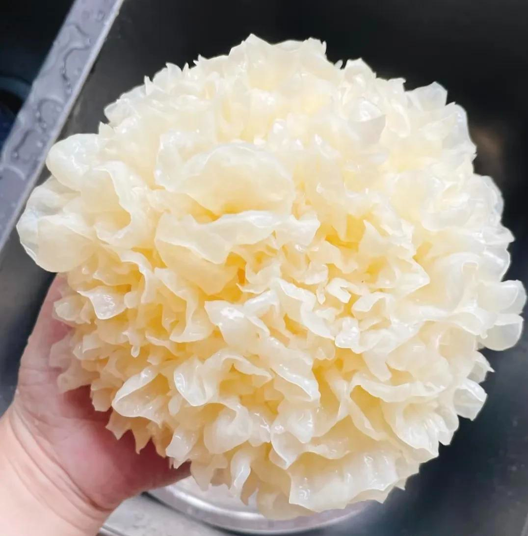 Bỏ ngay kem dưỡng tiền triệu, thứ trong bếp này giúp da căng mọng chỉ sau 7 ngày!- Ảnh 2. Bỏ ngay kem dưỡng tiền triệu, thứ trong bếp này giúp da căng mọng chỉ sau 7 ngày!- Ảnh 2.