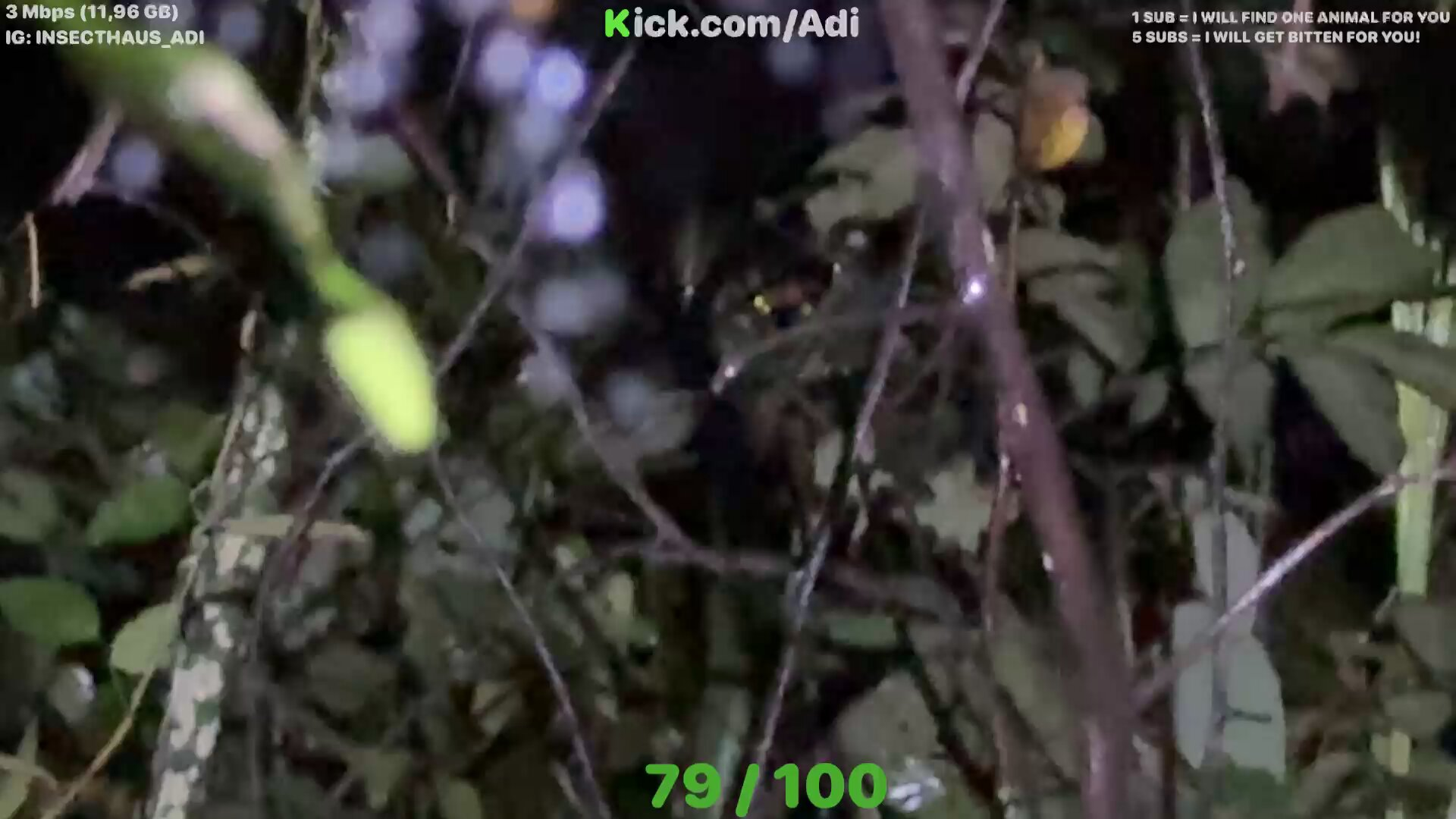 photo-1757475555541
