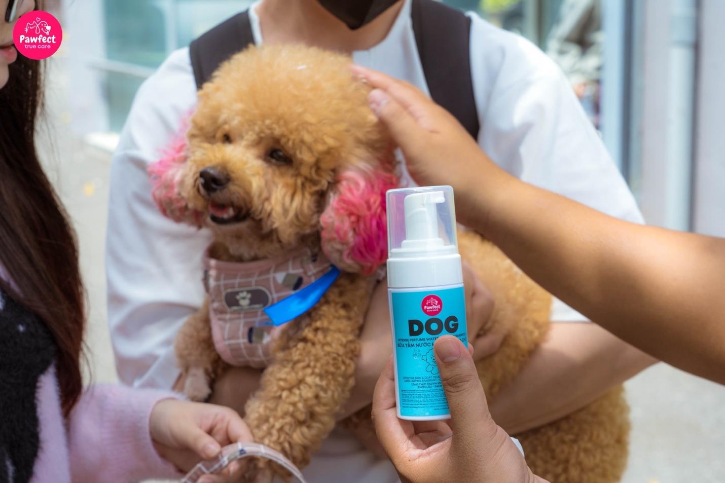 Sữa tắm khô - Giải pháp cho boss sợ nước và sen bận rộn- Ảnh 6.