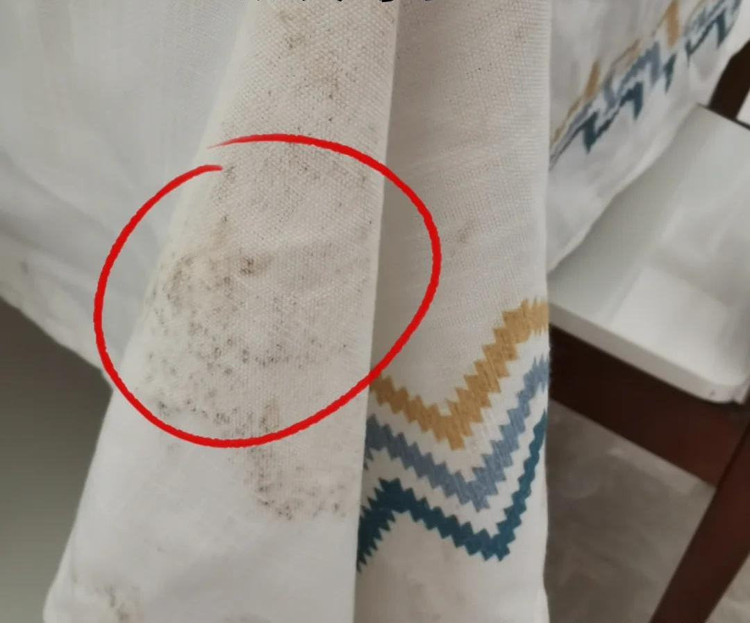 Bước vào tuổi trung niên mới hiểu: Nhà càng ít đồ đạc, cuộc sống càng nhẹ nhõm – đừng tự làm khổ mình- Ảnh 6.