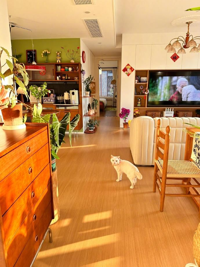 5 thói quen khiến nhà bừa bộn, rẻ tiền dù nội thất đắt đỏ- Ảnh 6.