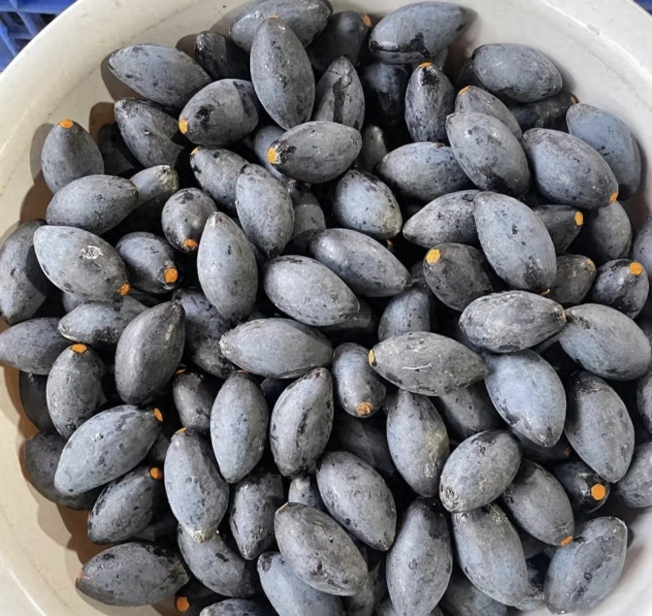 Thứ quả "đen sì" giàu vitamin C gấp 10 lần táo: Làm như này thành món ăn bổ dưỡng để cả nửa năm vẫn ngon- Ảnh 1.