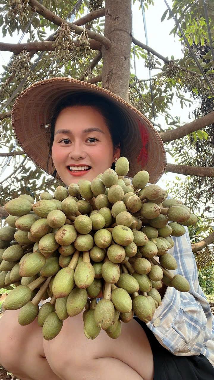 Gặp ‘kiến trúc sư’ của những khu vườn sầu riêng Tây Nguyên- Ảnh 2.